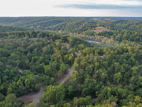 Sycamore Bottoms 120 : Galena : Stone County : Missouri