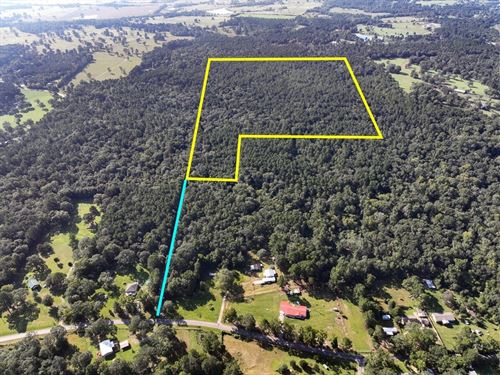 65 Acres, Off Hardy Bottom Road : New Waverly : Walker County : Texas