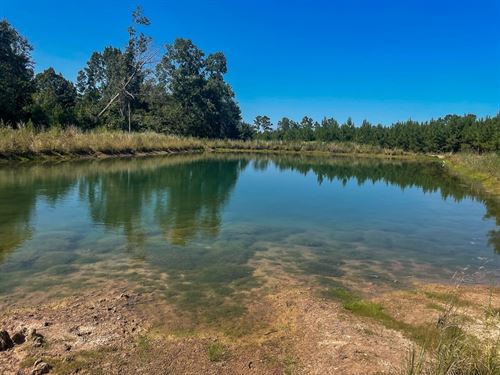 27 Acres, T-2, Union Springs Road : Corrigan : Polk County : Texas