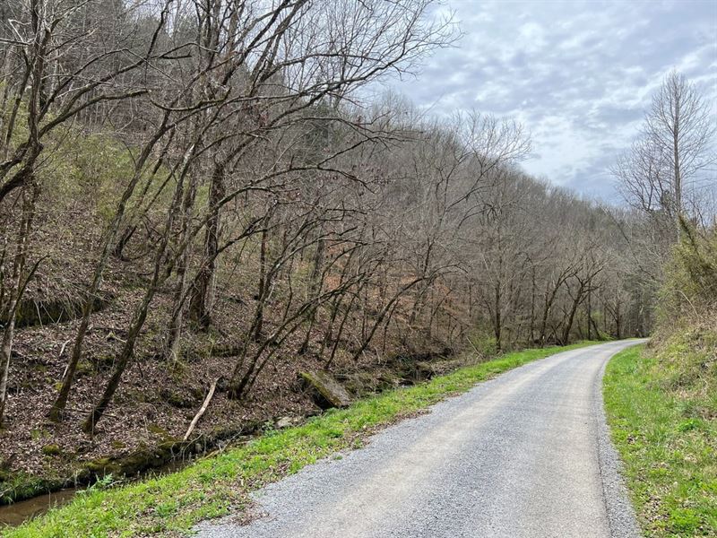 Turkey Branch Rd : Liberty : Dekalb County : Tennessee