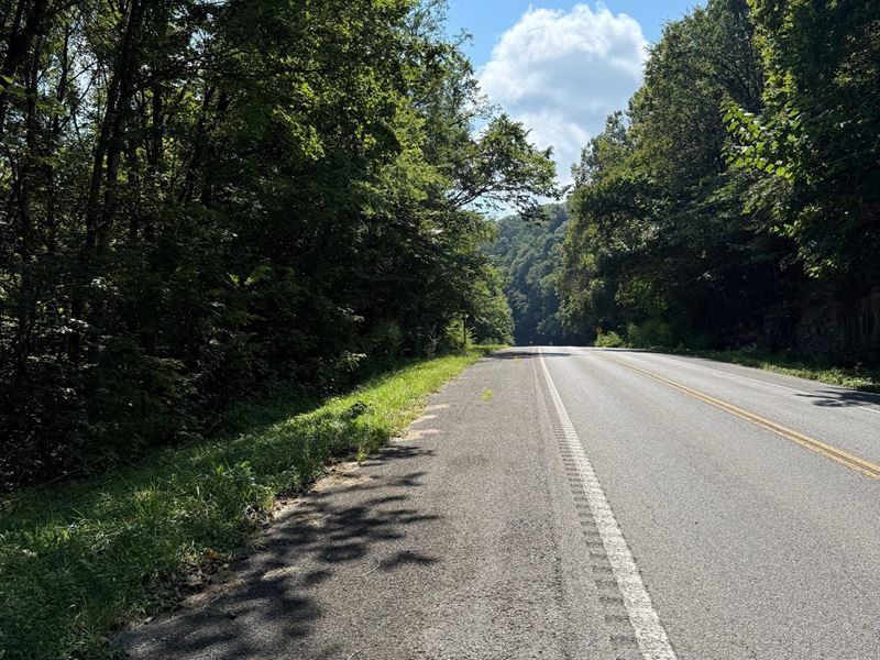 74.56 Acres of Hunting & Timber : Altamont : Grundy County : Tennessee