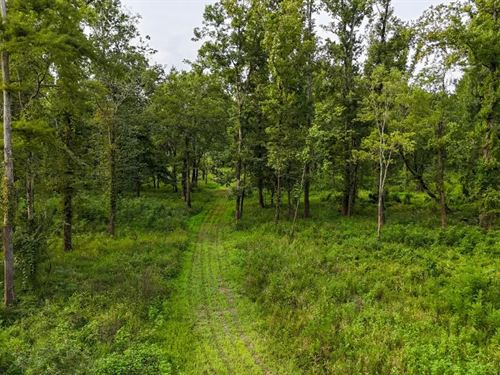 Lorman, MS Hunting Property Near th : Lorman : Jefferson County : Mississippi