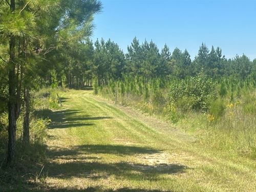 Hiltonia Farm : Sylvania : Screven County : Georgia