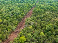 $999 Down Land Taney County : Protem : Taney County : Missouri