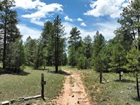 10 Acres in Cibola County, NM : Grants : Cibola County : New Mexico