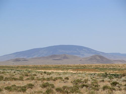 Together, Yet Your Own : Mesita : Costilla County : Colorado