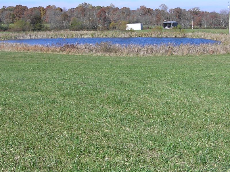 Farm, Pond, Cabin, Barn : Pikeville : Bledsoe County : Tennessee