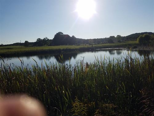 Farm, Pond, Cabin, Barn : Pikeville : Bledsoe County : Tennessee