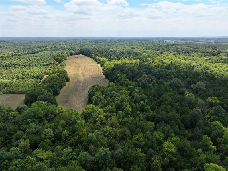 325 Acres in Lowndes County, MS : Columbus : Lowndes County : Mississippi
