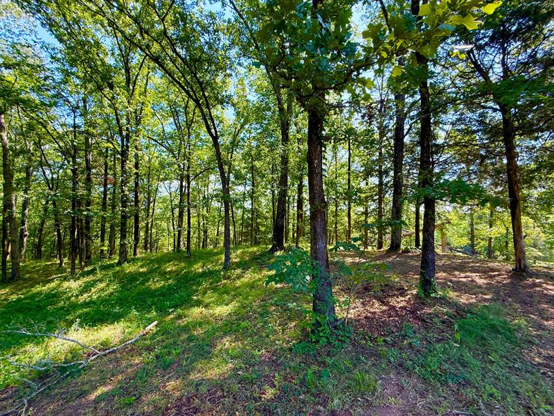 16.5 Acres in Brierfield : Brierfield : Bibb County : Alabama
