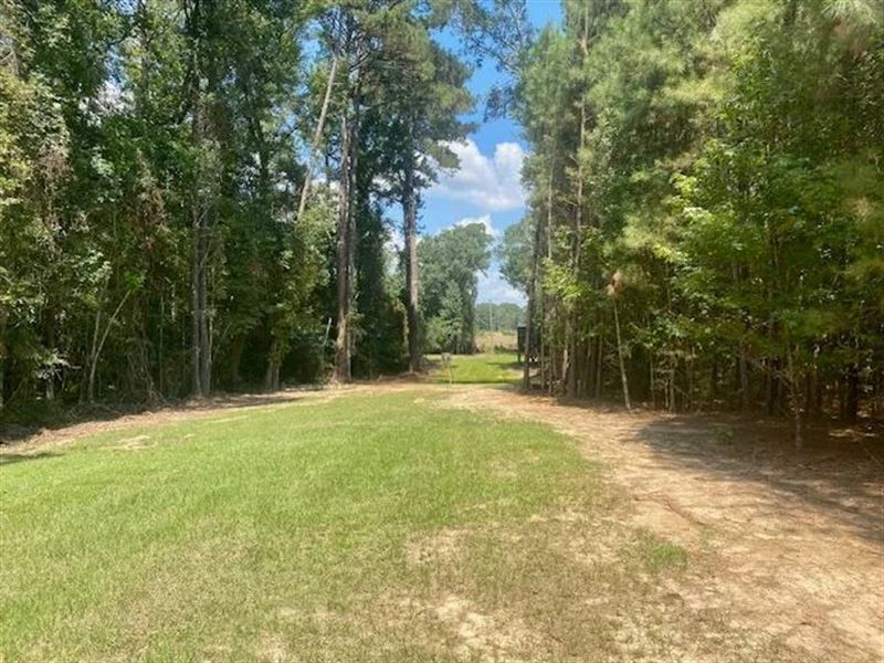40 Acres, Smithdale, MS : Smithdale : Amite County : Mississippi