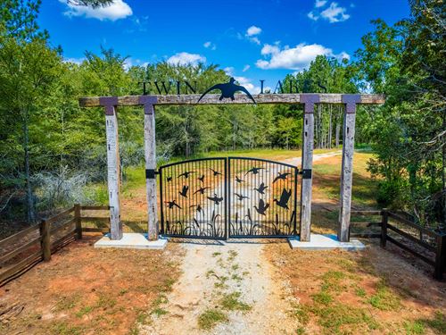 538+ Acres in Elberton : Elberton : Elbert County : Georgia