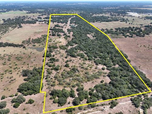 133 Acres, 12124 FM 682 : Yoakum : Dewitt County : Texas