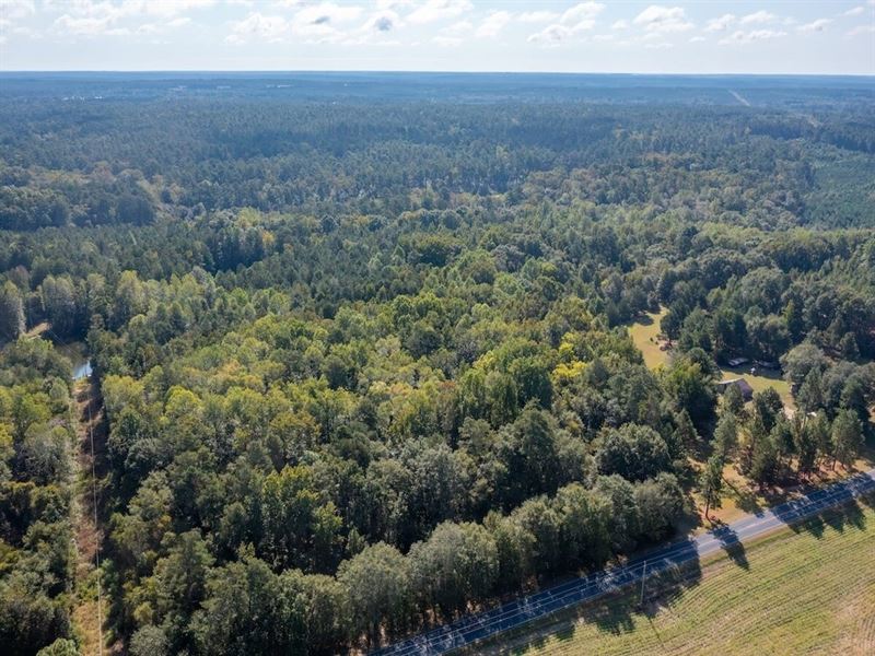 33.4 Acres of Recreational Land : Ellerbe : Richmond County : North Carolina