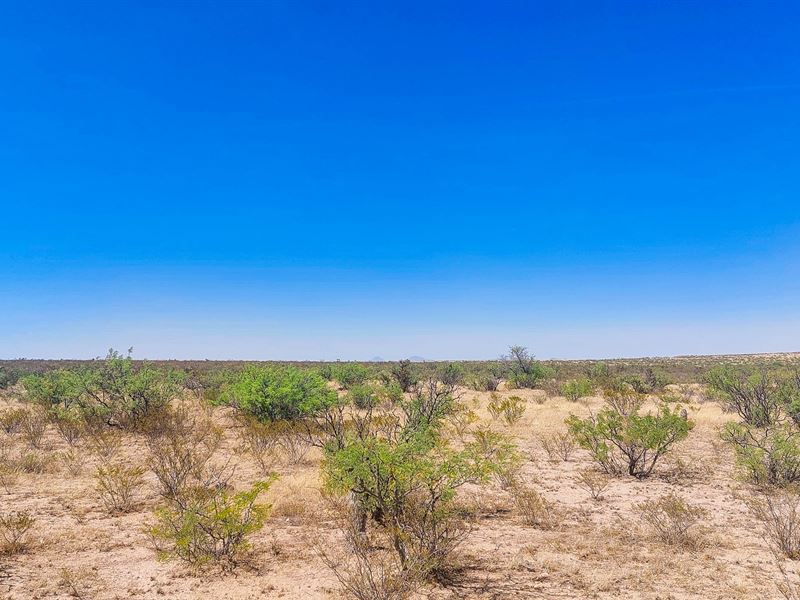 10.4 Acres Near El Paso Says Both : Fort Hancock : Hudspeth County : Texas