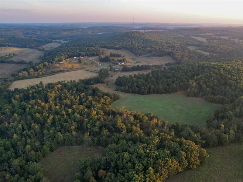 King Mountain Land and Livestock : Willow Springs : Howell County : Missouri
