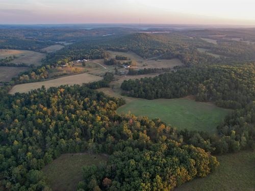 King Mountain Land And Livestock : Willow Springs : Howell County : Missouri