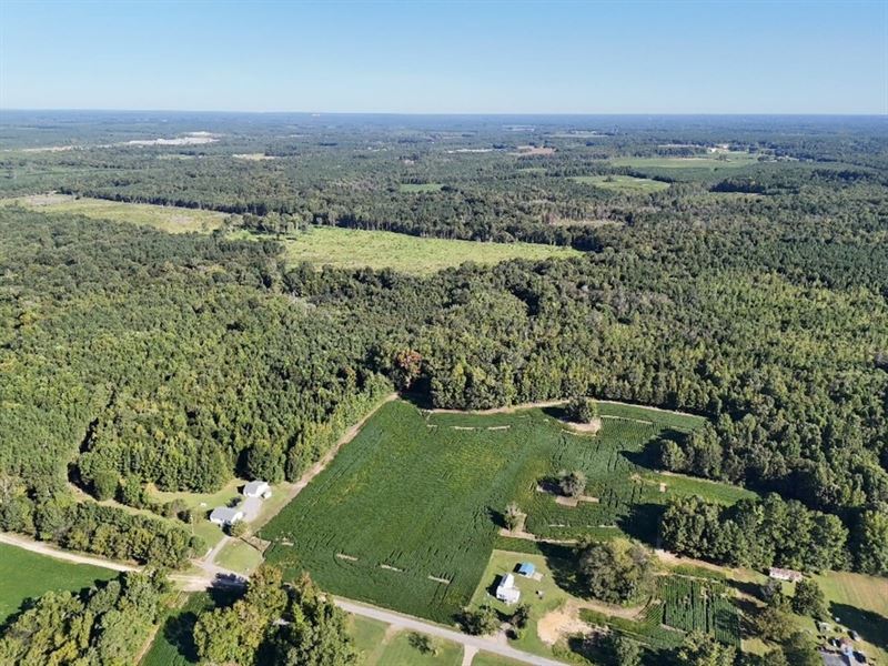 25 Acres of Hunting and Residential : Emporia : Emporia County : Virginia