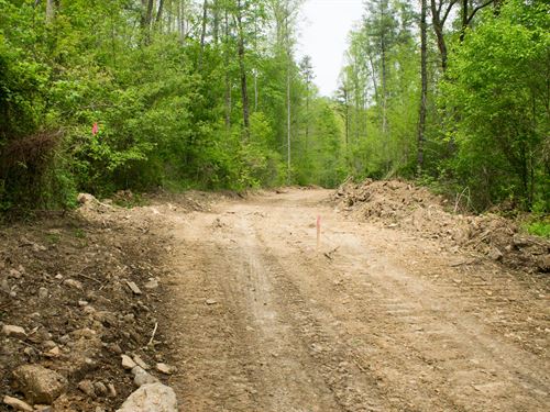 Own Off Grid Land Today, $999 Down : Livingston : Rockcastle County : Kentucky