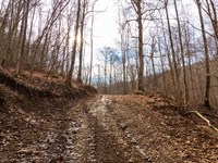 Borders National Forest, $999 Down : Ogle : Clay County : Kentucky