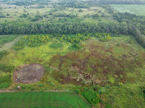 Harvey County Deer And Wetlands : Burrton : Harvey County : Kansas