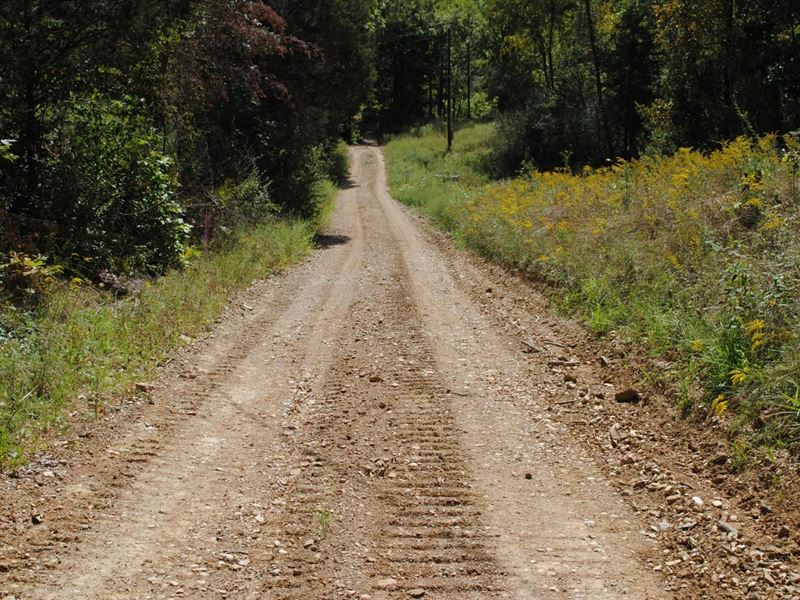 Jackson County 84 Acres : Freetown : Jackson County : Indiana