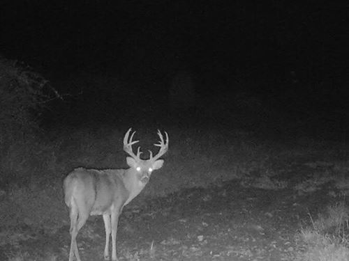 Jackson County 84 Acres : Freetown : Jackson County : Indiana