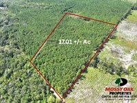 17.01 Acres Buck Ln, Woodbine GA : Woodbine : Camden County : Georgia