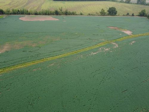 Dyer Bottoms 80 : Mulberry : Crawford County : Arkansas