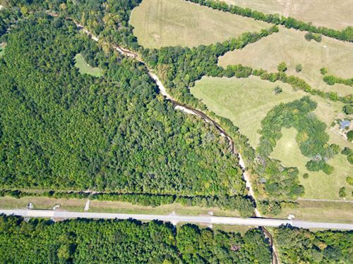 Cedar Creek Highway 21 Tract : Pine Apple : Wilcox County : Alabama