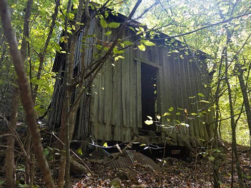 107 Acres In Lauderdale County, AL : Waterloo : Lauderdale County : Alabama