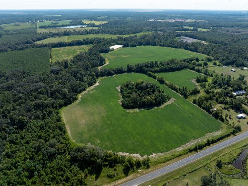 Hamilton County 40 Acre Farm : Jasper : Hamilton County : Florida