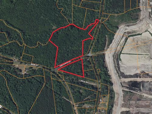 15 AC Timber & Hunting Land : Edward : Beaufort County : North Carolina