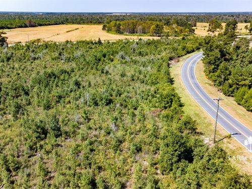 22.6 Ac Homesite Corner Lot Near Bl : Blountstown : Calhoun County : Florida