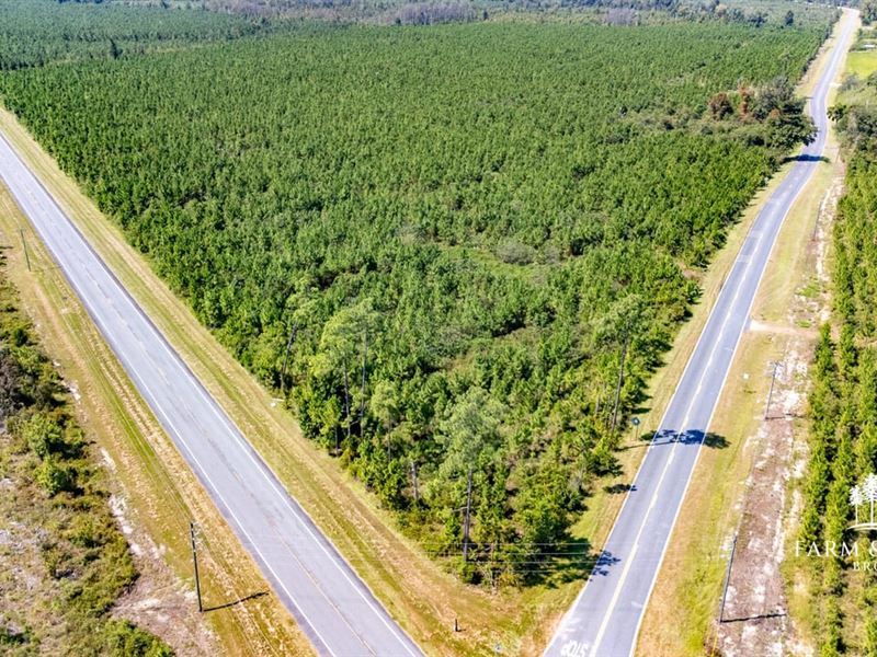 16 Ac Corner Lot Homesite on Us-71 : Blountstown : Calhoun County : Florida