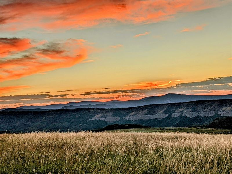 Hageman Ranch : Oak Creek : Routt County : Colorado