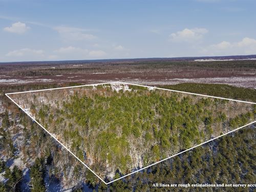 Crooked Tine Ranch : Bitely : Newaygo County : Michigan