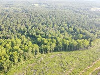 420 Acres, Talladega, AL : Talladega : Alabama