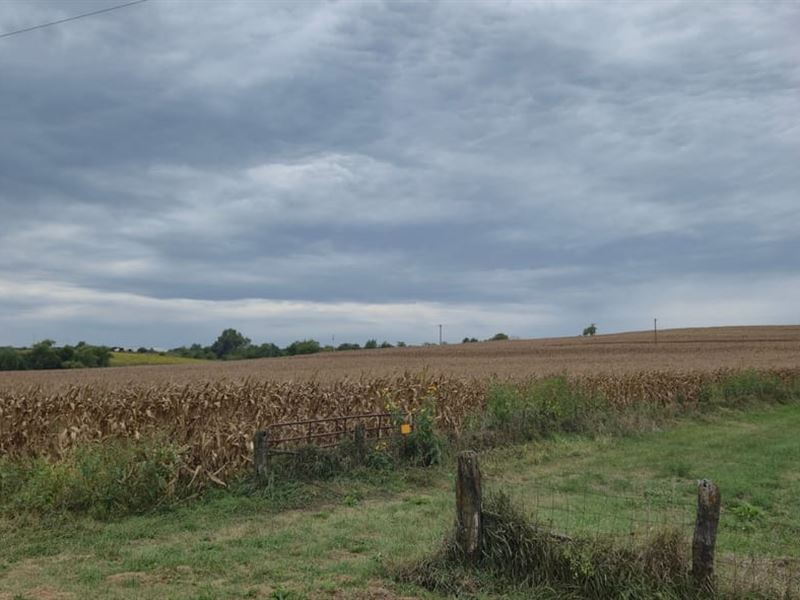 70 Ac Farm on Gentry/Worth Count : Worth : Worth County : Missouri