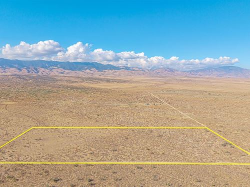 Spacious Corner Lot, $2,021.35 Down : Rosamond : Kern County : California