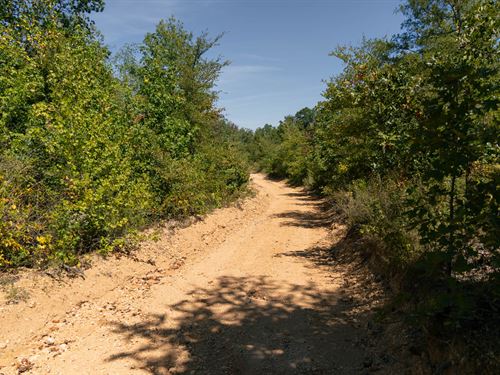 Own Today, $999 Down : Flatwoods : Perry County : Tennessee