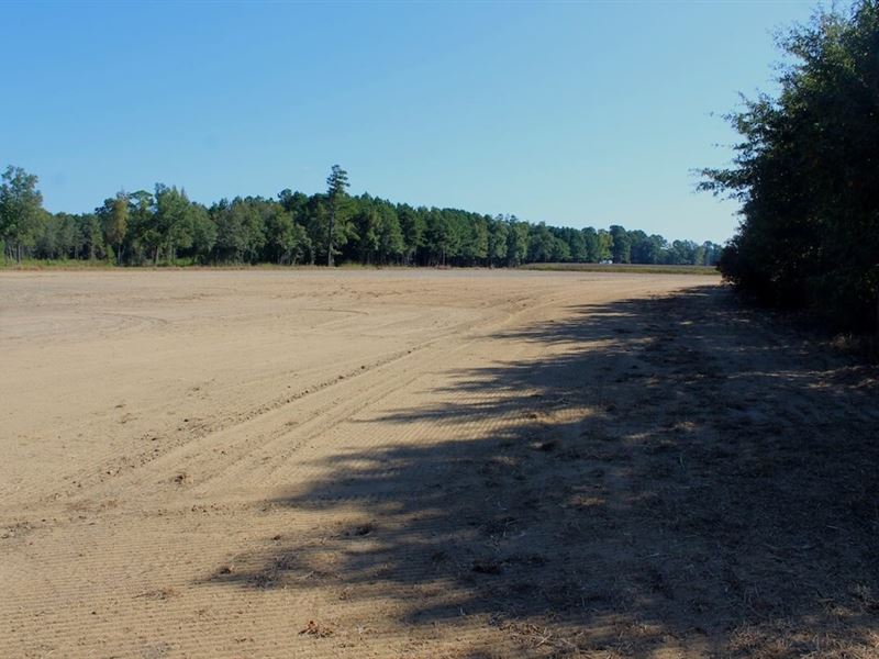 17.34 Acres of Farm, Hunting, or DE : Temperance Hill : Marion County : South Carolina