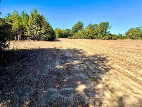 17.34 Acres of Farm, Hunting, or DE : Temperance Hill : Marion County : South Carolina