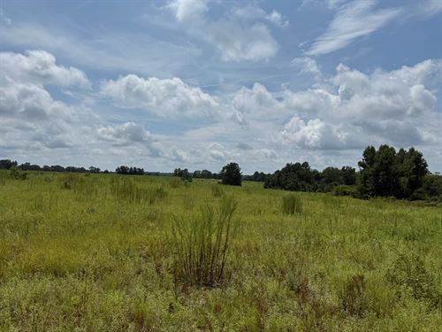 The Right Twenty Five Acres : Clopton : Barbour County : Alabama