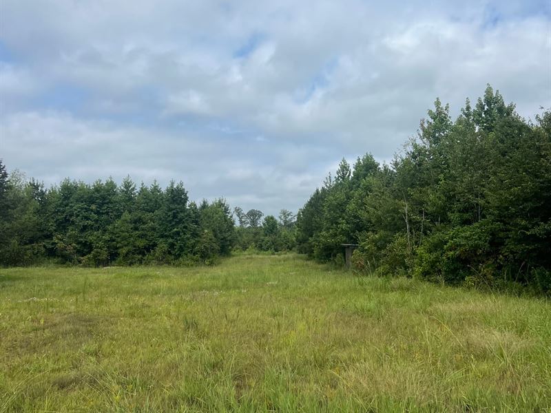Pleasent Grove Road Recreational Tr : Monticello : Drew County : Arkansas