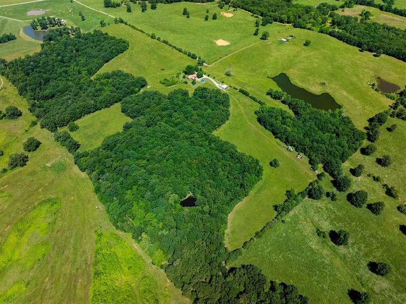 60 Acres, Pasture/Hay Fields : Cord : Independence County : Arkansas