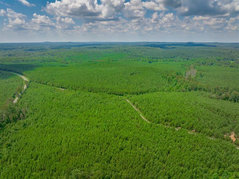 The Kings Creek Tract : Smyrna : York County : South Carolina