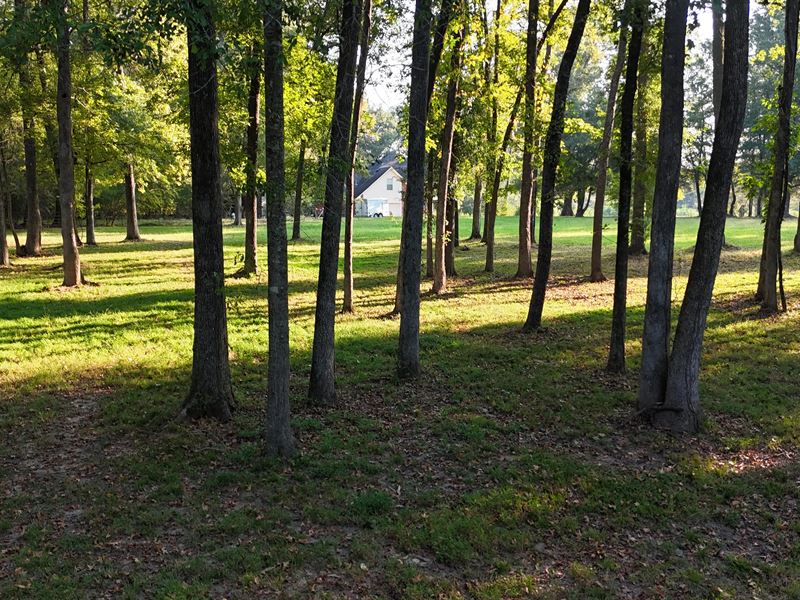 17.7 Acres in Hinds County, MS : Byram : Hinds County : Mississippi