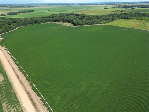 Irrigated Ag Land With Recreational : Drew : Tallahatchie County : Mississippi