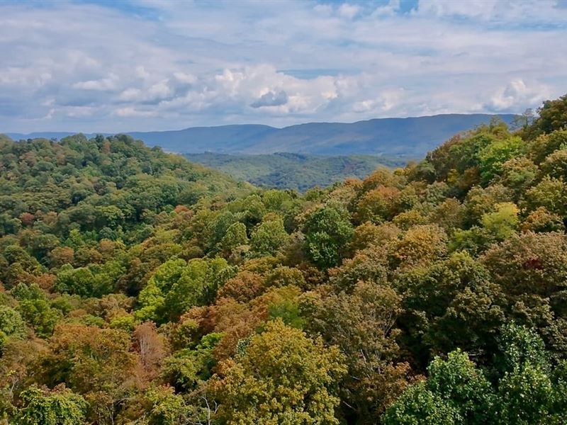 Camp Tango 159 Acres in Tazewell : Tazewell : Tazewell County : Virginia